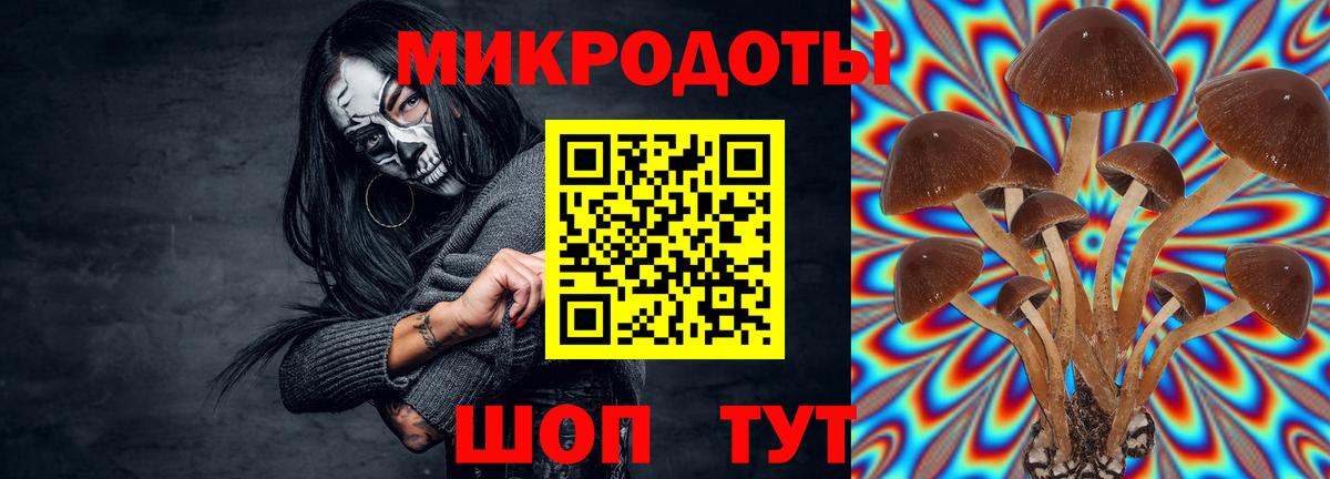 Псилоцибиновые грибы прущие грибы Ипатово